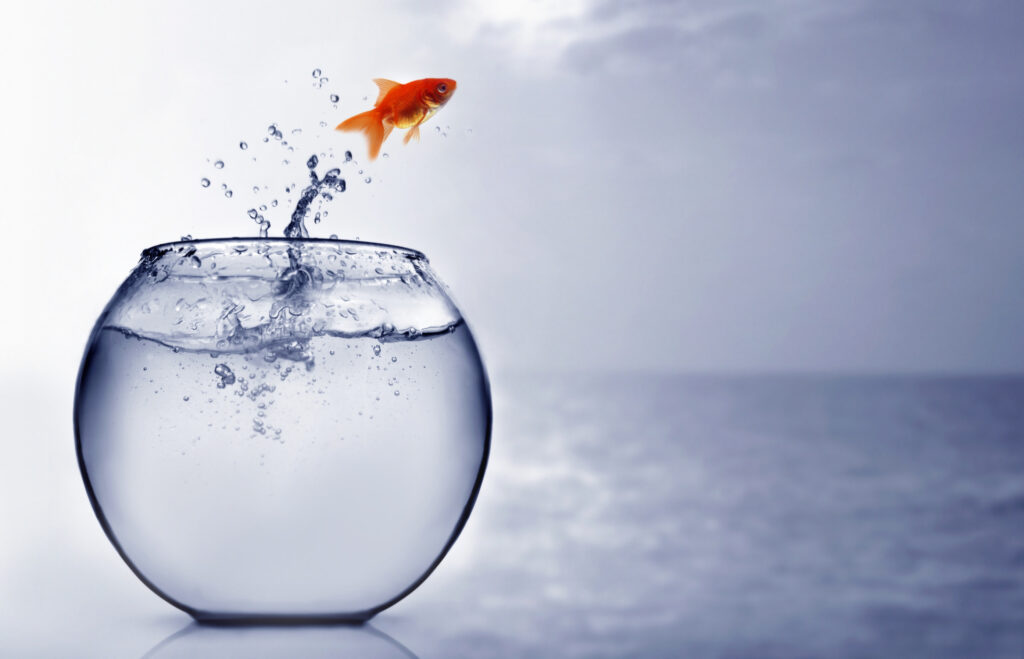 goldfish jumping out of a fish bowl