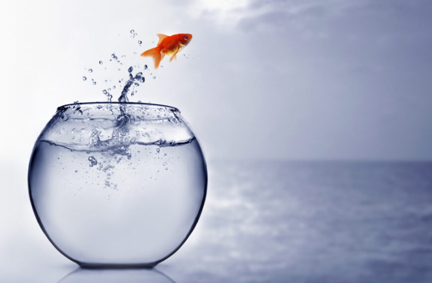 goldfish jumping out of a fish bowl